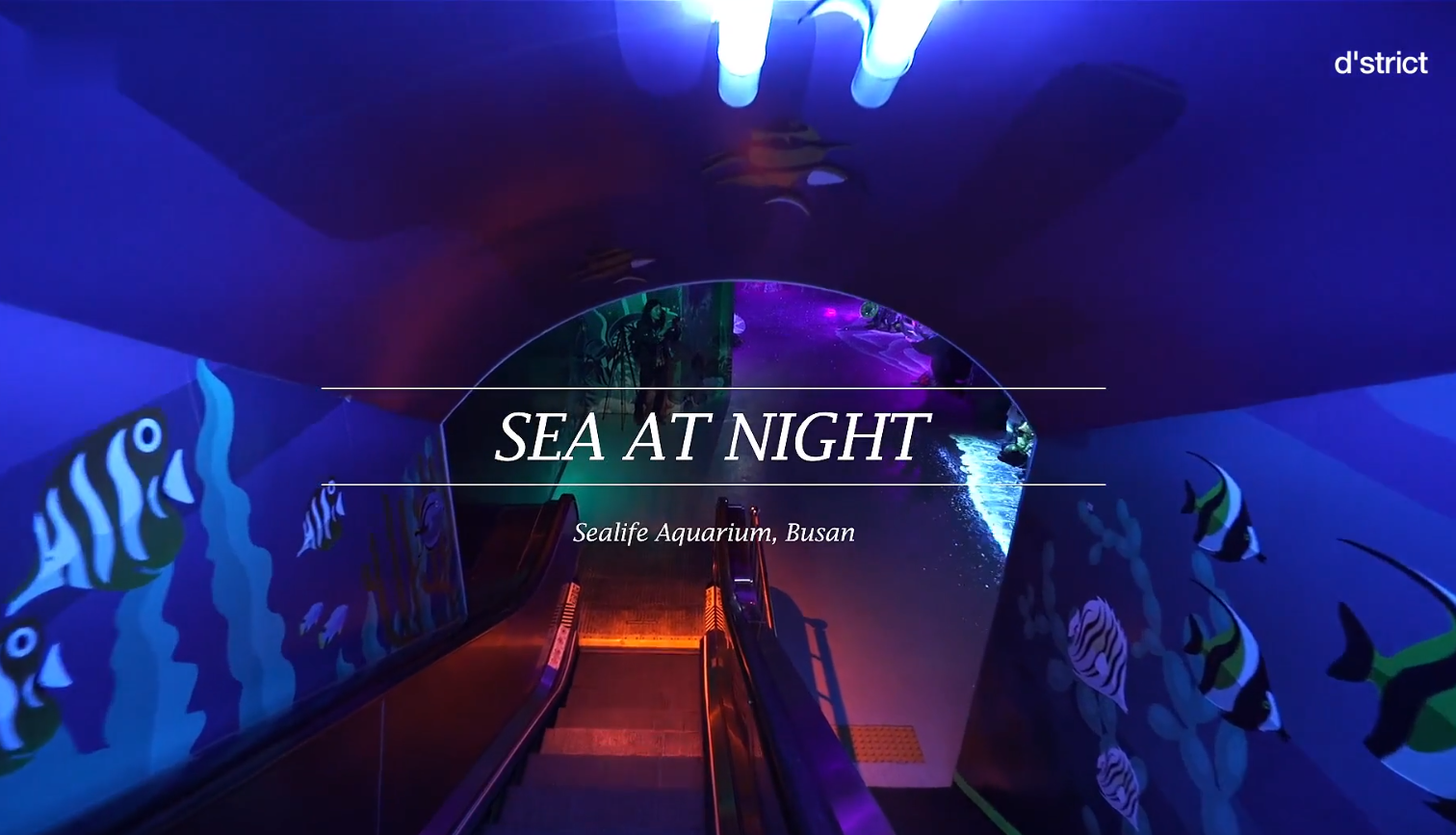 韓國(guó)釜山Sealife海洋館_新媒體互動(dòng)方案--智能電影、沉浸式媒體、水箱投影、3D動(dòng)畫電影