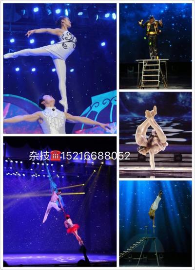 北京肩上芭蕾，綢吊威亞表演
