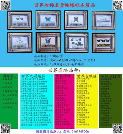世界名貴蝴蝶標(biāo)本展示展品、蝴蝶展