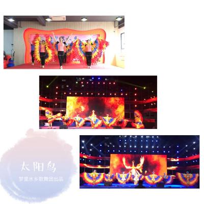 創(chuàng)意節(jié)目；開場舞蹈；高端大氣；太陽鳥