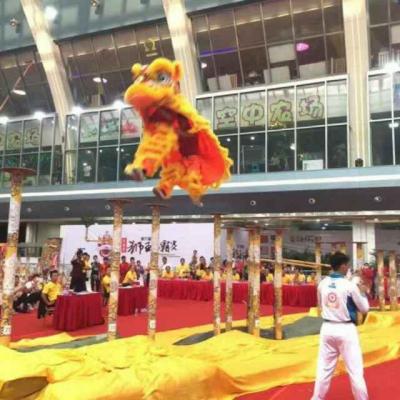 北京，舞龍舞獅表演，舞龍舞獅，舞獅采青表演，舞獅采青，舞龍舞獅培訓(xùn)，