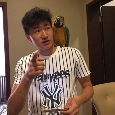 上海，武術(shù)表演，鏡面舞，能源舞者，升級(jí)版大胡子能源舞者，太空戰(zhàn)士，白兵，激光鏡面人。鼓類，水鼓，現(xiàn)代舞，爵士舞，韓國(guó)熱舞