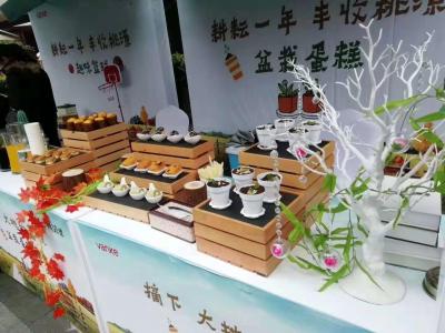 广州臻智品牌策划有限公司