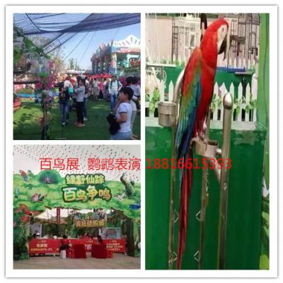 上海及周邊皇家馬戲團(tuán)\百鳥(niǎo)展等，歡迎來(lái)電咨詢(xún)。