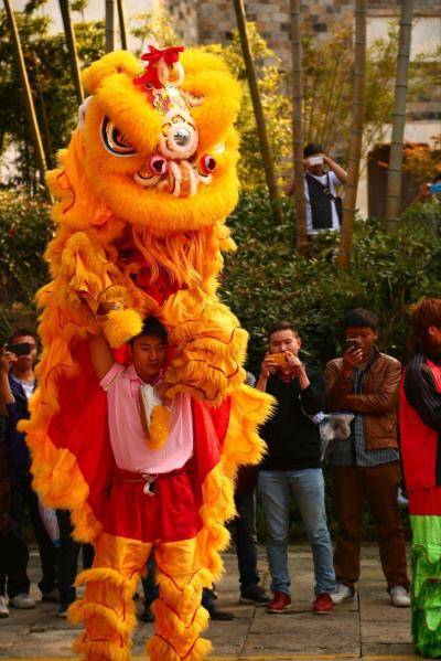 東莞市（精武堂）醒獅團承接:慶典舞獅、樓盤舞獅、廟會舞獅、年會舞獅等
