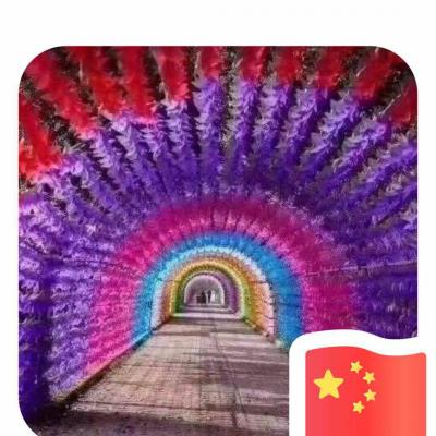 山東，暖場道具，展覽道具，煙泡樹，盤卡足球，三維針雕，奮斗的小鳥，發(fā)電單車