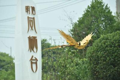 全國(guó)，無(wú)人機(jī)，無(wú)人機(jī)表演，金鳳凰無(wú)人機(jī)，開業(yè)典禮，開業(yè)活動(dòng)，房地產(chǎn)開業(yè)活動(dòng)，房地產(chǎn)開業(yè)典禮，鳳凰無(wú)人機(jī)，活動(dòng)慶典，