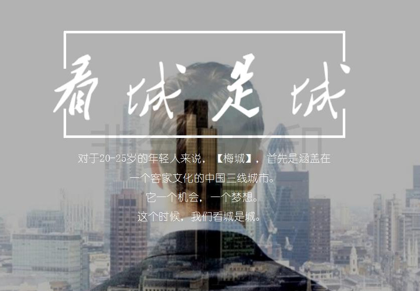 2017 奧園雙盤（天悅灣、天韻）啟動(dòng)品牌戰(zhàn)略發(fā)布會(huì)策劃案