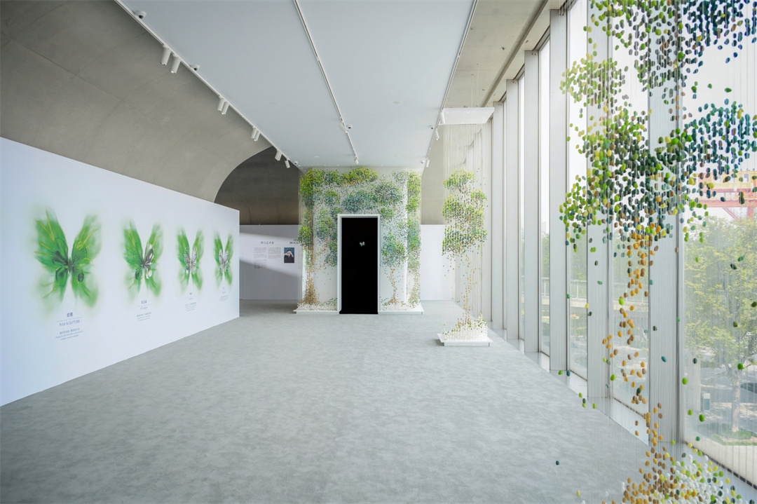 藝術(shù)展覽 | CINDY CHAO “光影之間 對影成蝶——2023年度蝴蝶大師作品展”，在上海龍美術(shù)館（西岸館）呈現(xiàn)